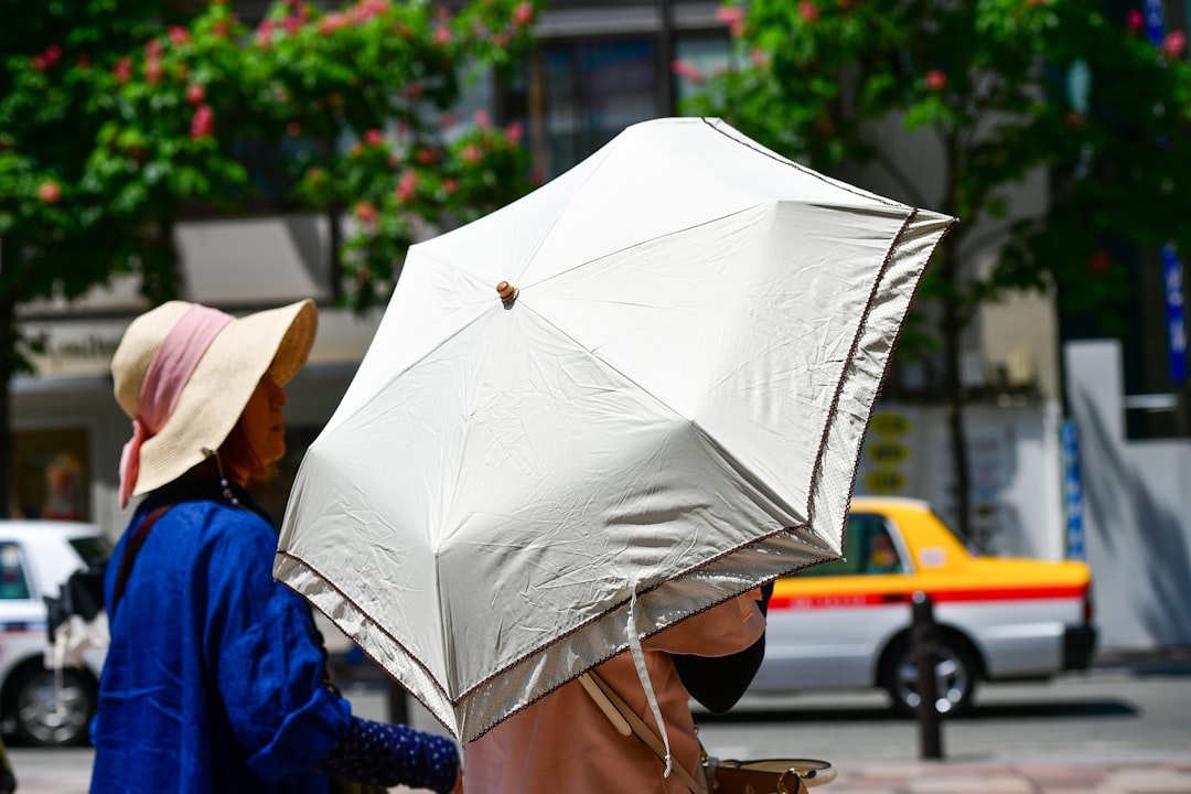Canicule historique : pourquoi un "dôme de chaleur" écrase la France